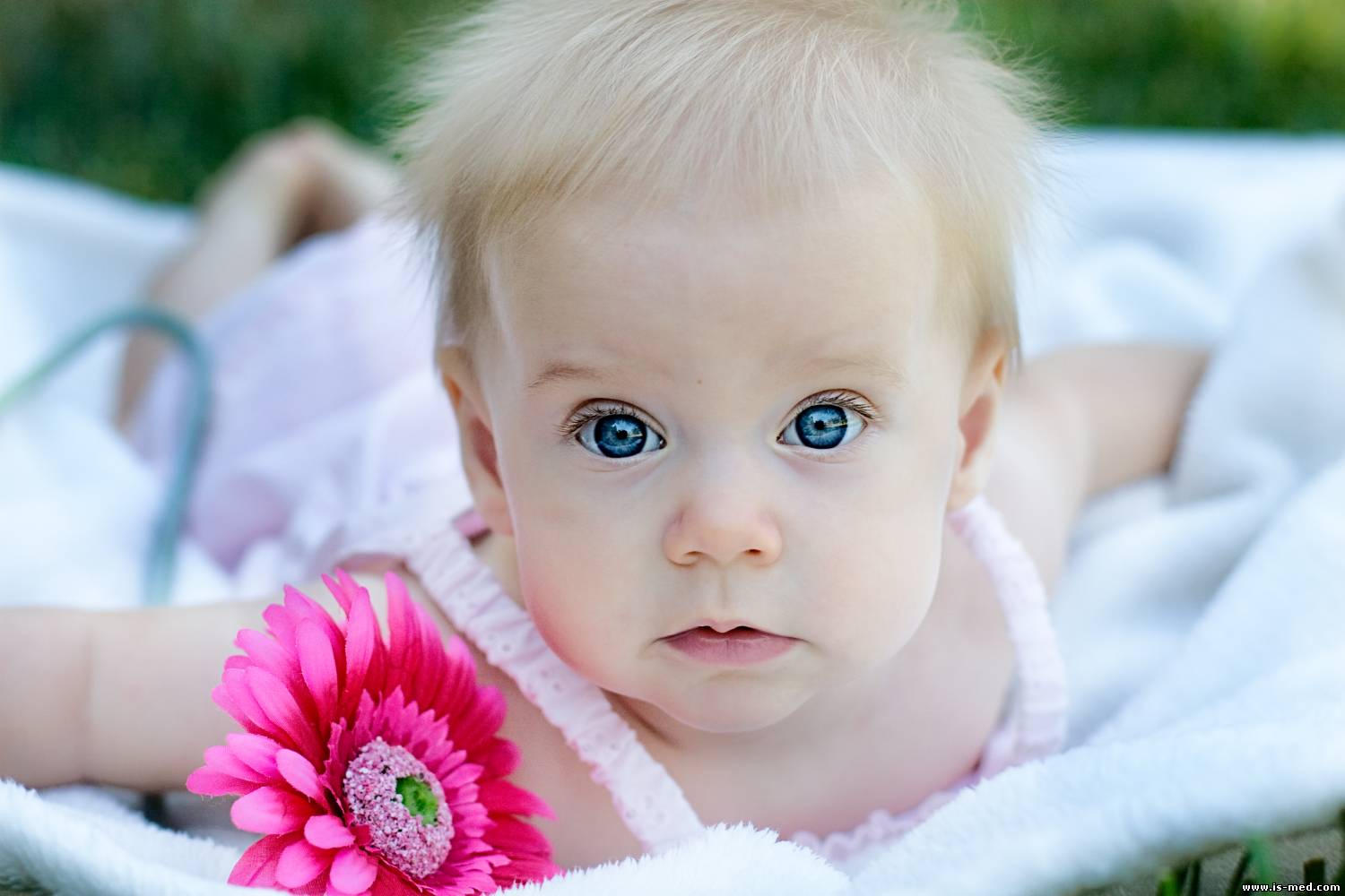 IVF (clinics, countries, procedures, stages)